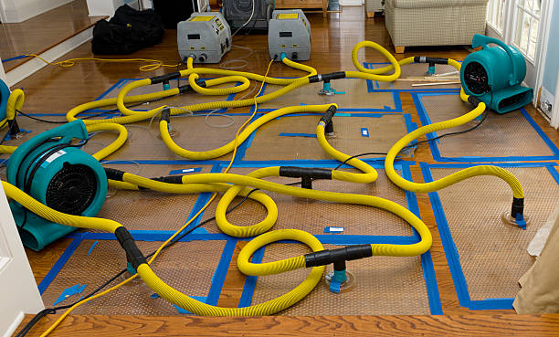 Professional Water Damage Repair technician working in Cantua Creek, CA